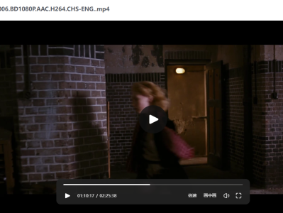 豆瓣8.4高分 欧洲大C度惊悚片《黑皮书》(惊惧黑书)145分钟未删减版 (2006)1080P中英双字【4.4G】